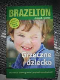 Grzeczne dziecko. T. Brazelton, J. Sparrow