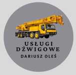 Dźwig usługi dźwigiem wynajem dźwigu żuraw 18T Legnica