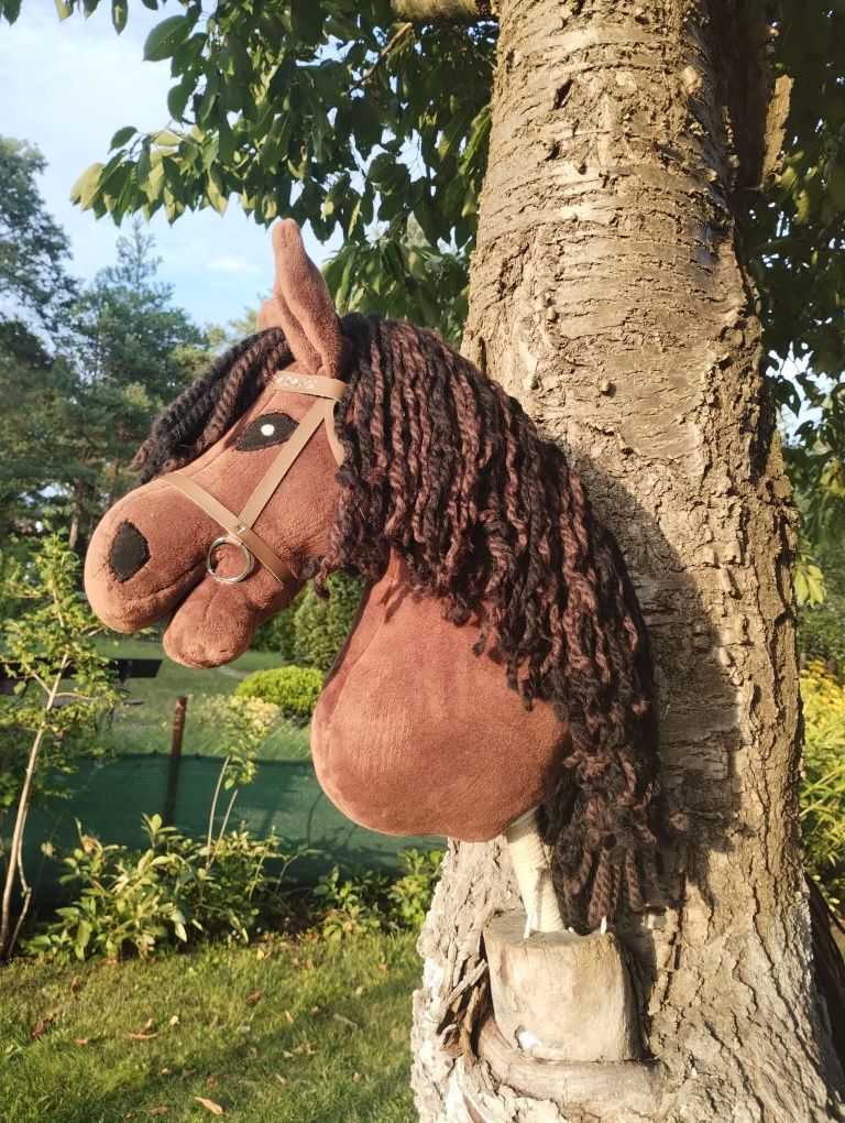Hobby  Horse  A3