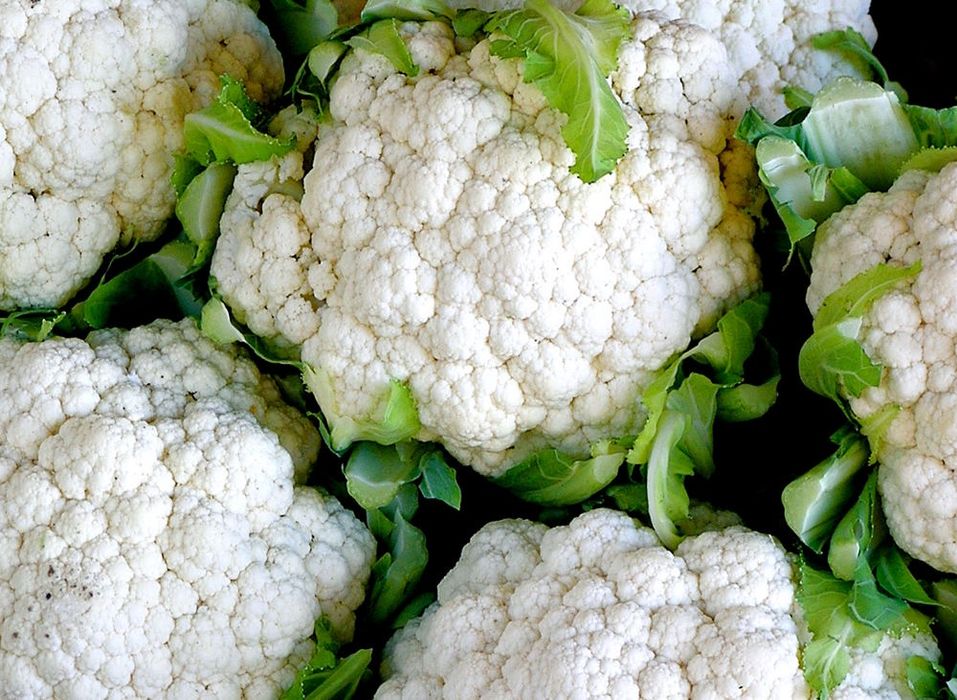 Семена / Насіння / КАСПЕР F1 / KASPER F1 / Цвітна капуста