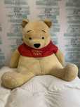 Disney Peluche Winnie the Pooh
