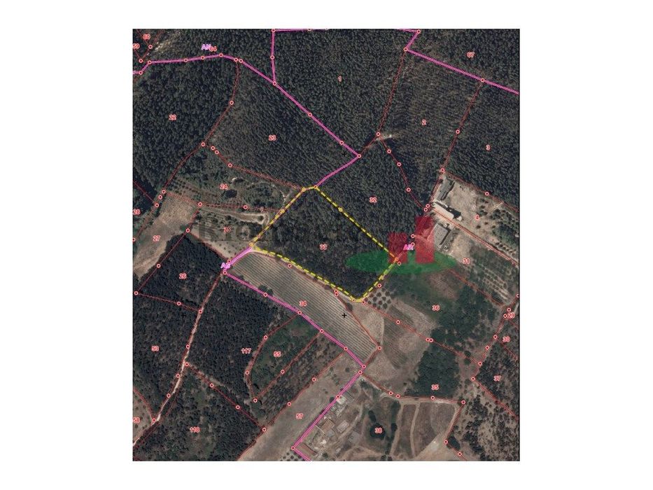 Terreno Vale Piloto / Rio Maior ***RIOMAGIC***