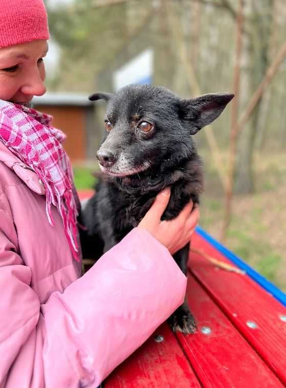 Z każdym dniem jest smutniejszy... traci nadzieję na dom i miłość...