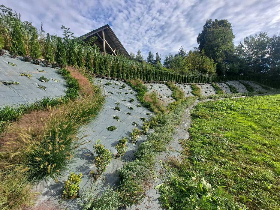Zakładanie terenów zielonych oraz dachów zielonych