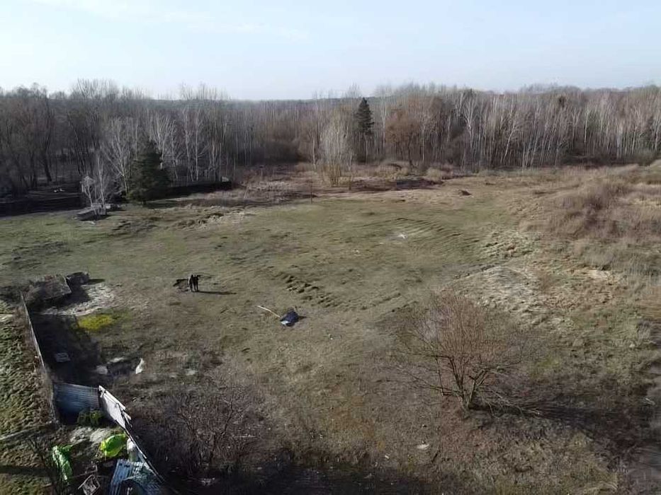 Рожни, ділянка 1га під лісом з виходом до озера