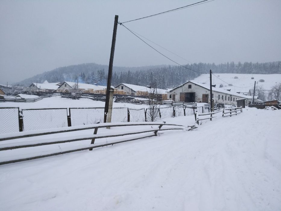 Пилорама діюча з приміщенням та системою відеонагляду інтернет