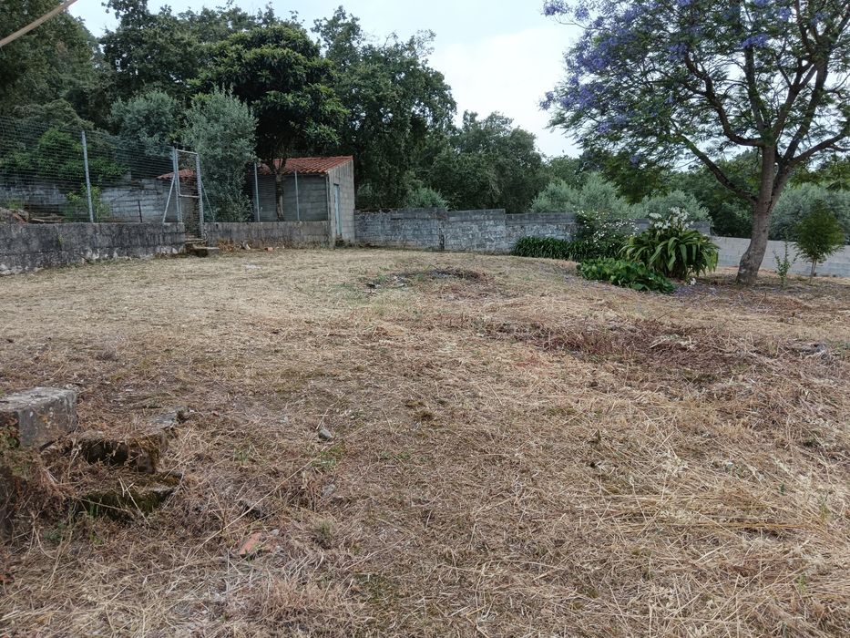 Limpeza de terreno,quintais, jardins com  roçadora