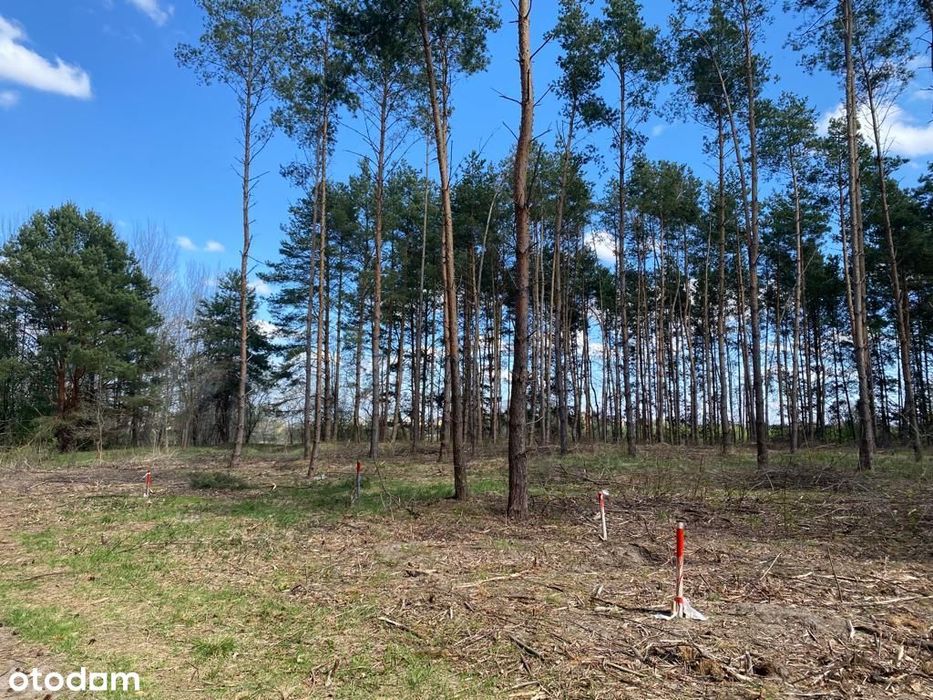 Działki rekreacyjne  leśne