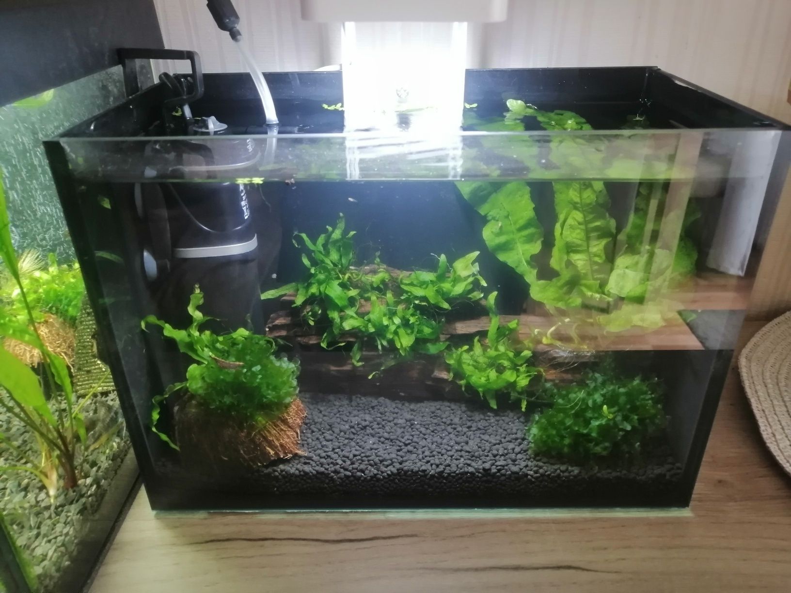 Akwarium krewetkarium 11 litrów cały osprzęt