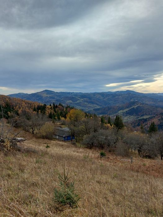 Продається будинок у Карпатах с.Розтоки