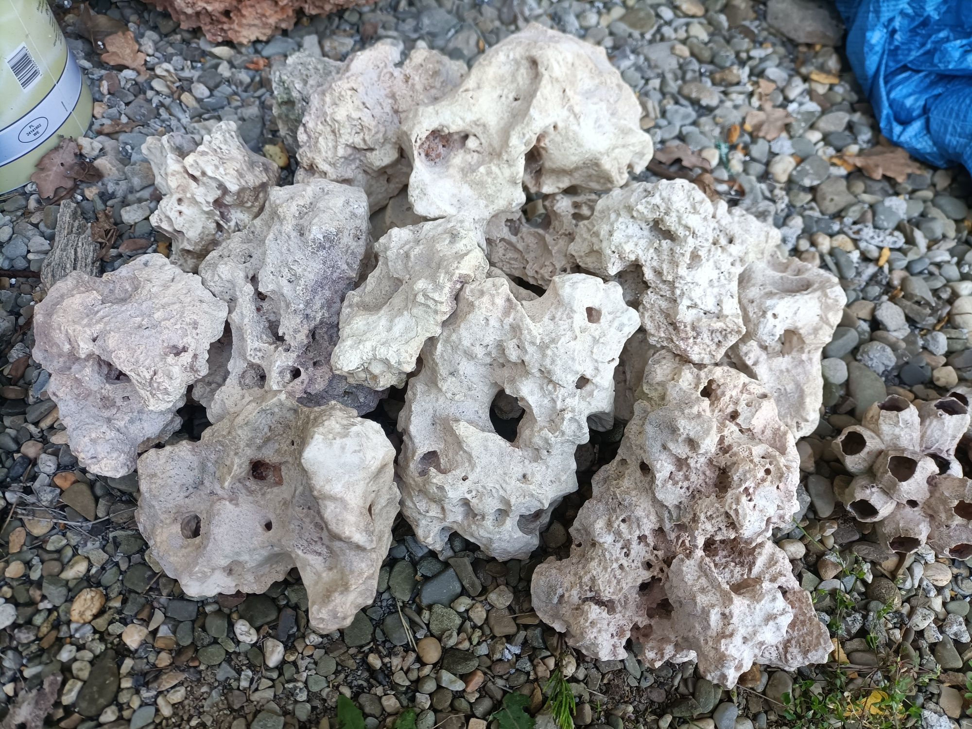 Kamienie filipińskie i wapień koralowy