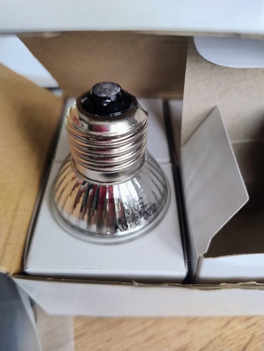 Komplet żarówek halogenowych 50W