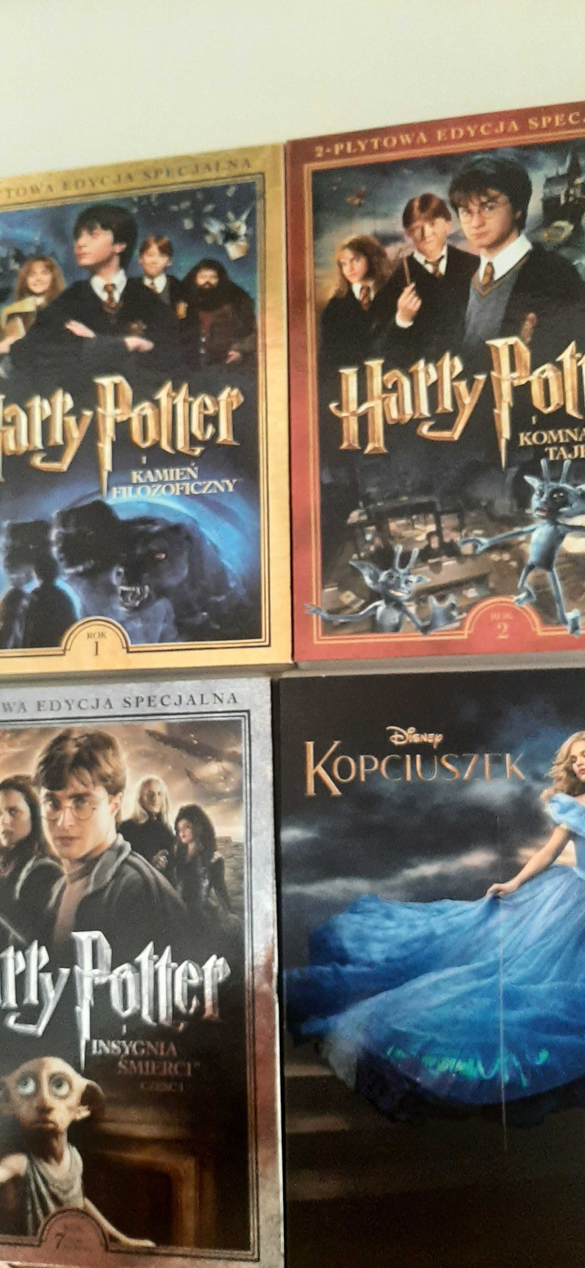 Bajki dla starszych dzieci na DVD