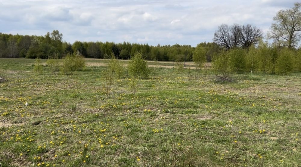 Wynajmę działkę na kaszubach