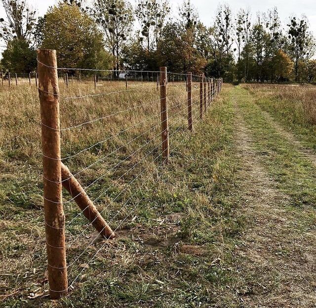 Ogrodzenie Budowlane Leśne Tymczasowe