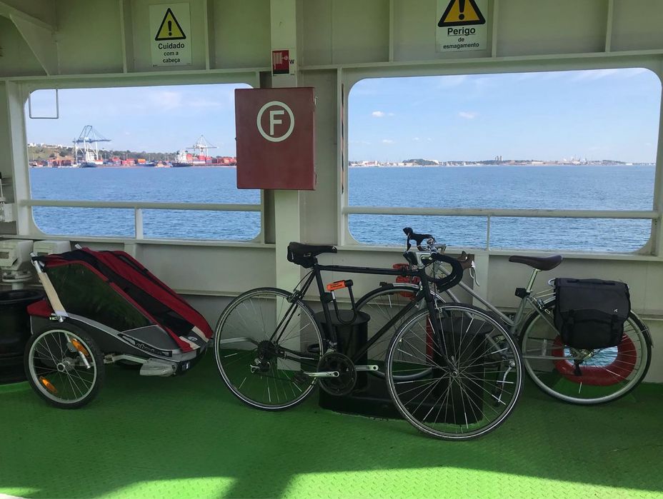 Chariot Tule Cougar 1