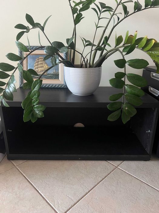 Móvel de arrumação