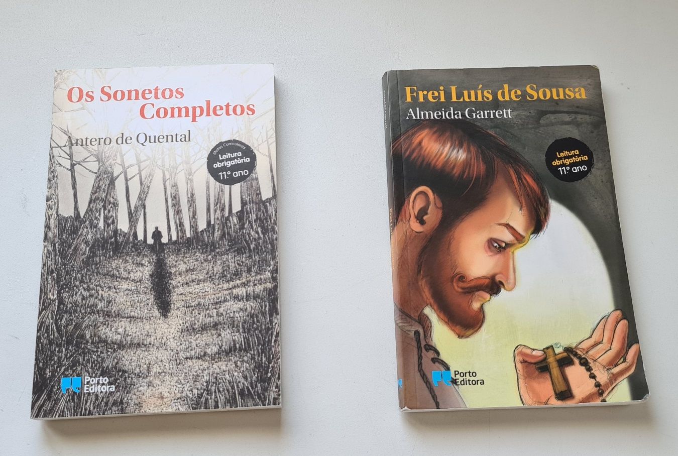 Lote de vários livros e cadernos de apoio ao estudo 11 ano