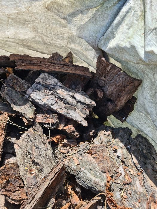 Kora sosnowa gruba frakcja 60 l