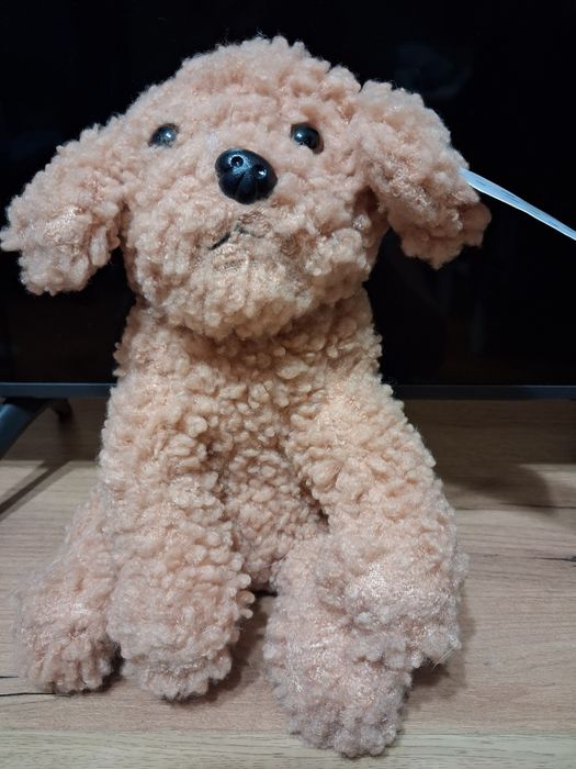 Maskotka pies pudelek