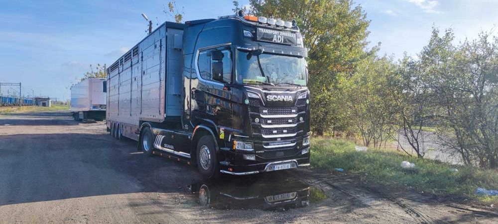 SCANIA S580V8 AUTOMAT  Naczepa Pezzaioli 3pokłady do Żywca, Zwierząt