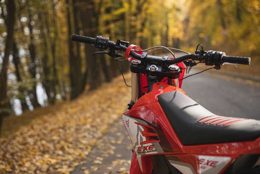 Электрический мотоцикл EXE 800 • Мощный для взрослых