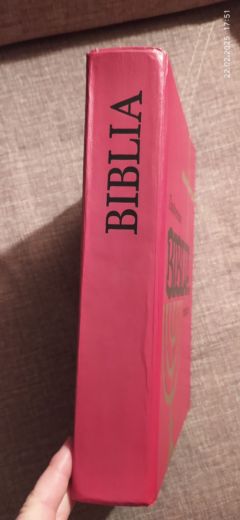 Ilustrowana Biblia młodych