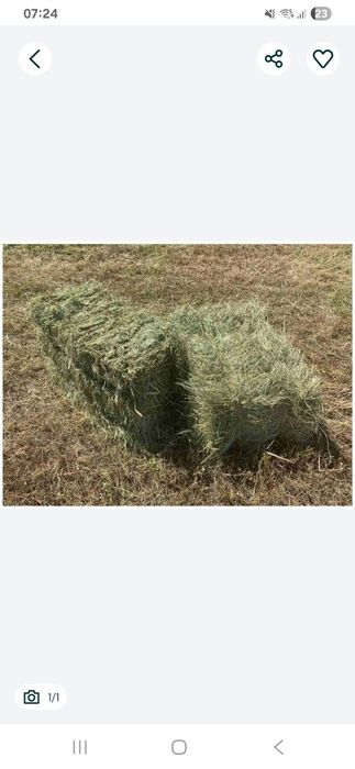 Продам сіно в тюках