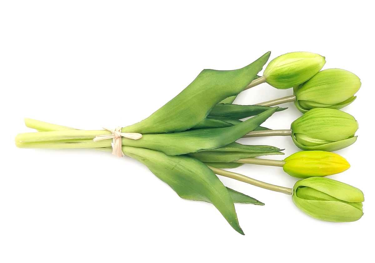 Tulipan sztuczny tulipany silikonowe bukiet 5 sztuk ZIELONY