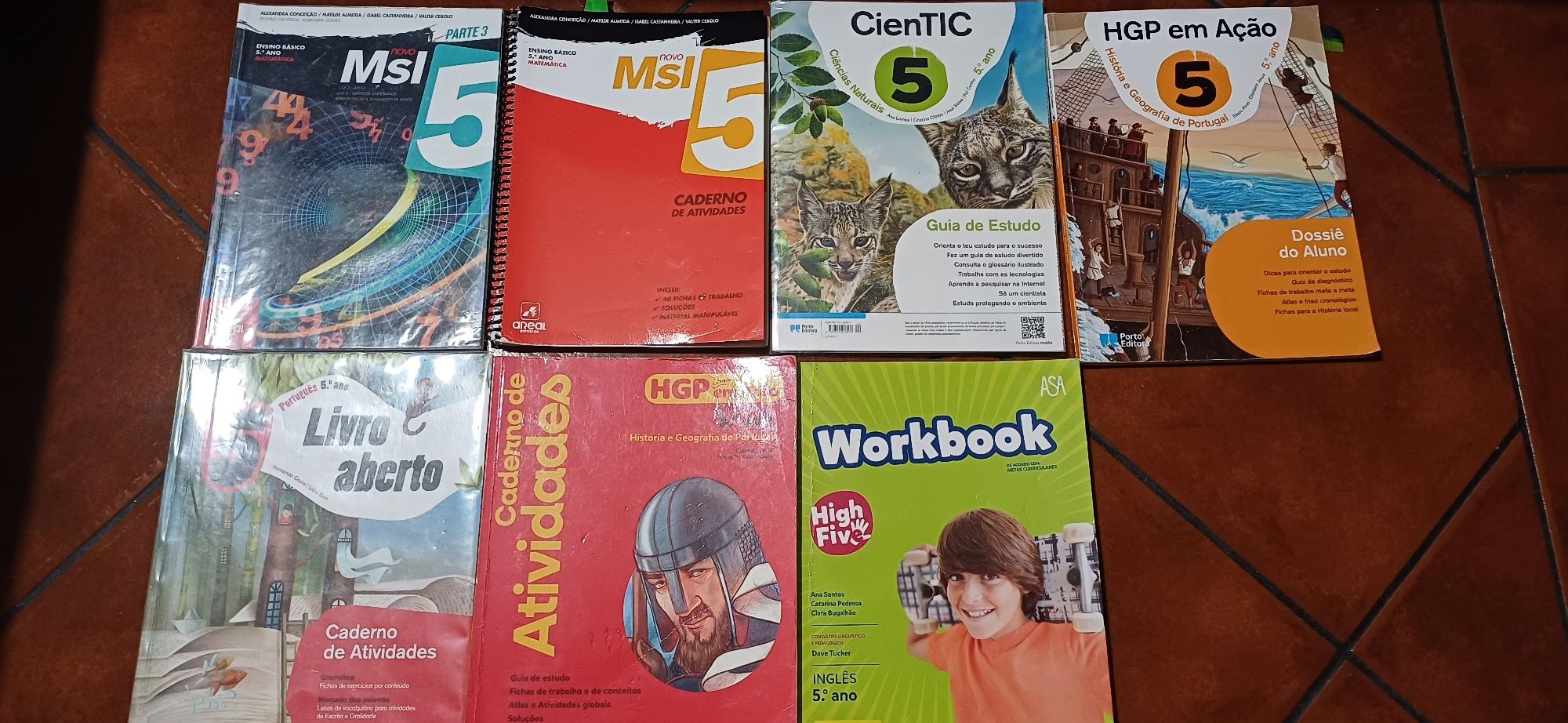 Livros de fichas 5° ano