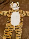 Fantasia Carnaval / tigre