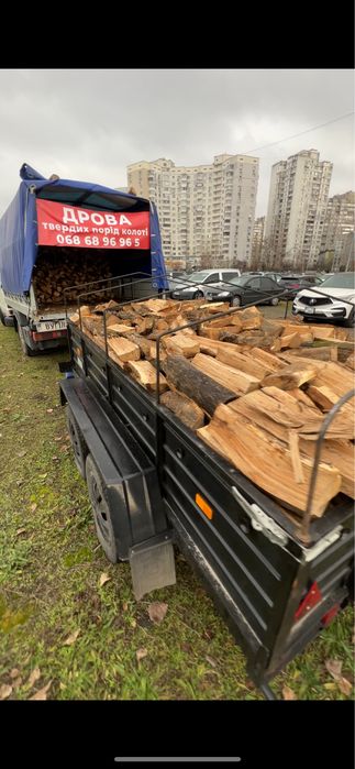 Дрова Київ та область от 2 м