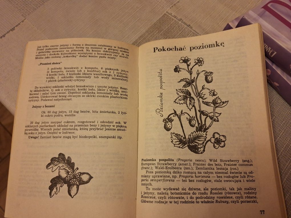Owoce z lasów i pól Irena Gumowska