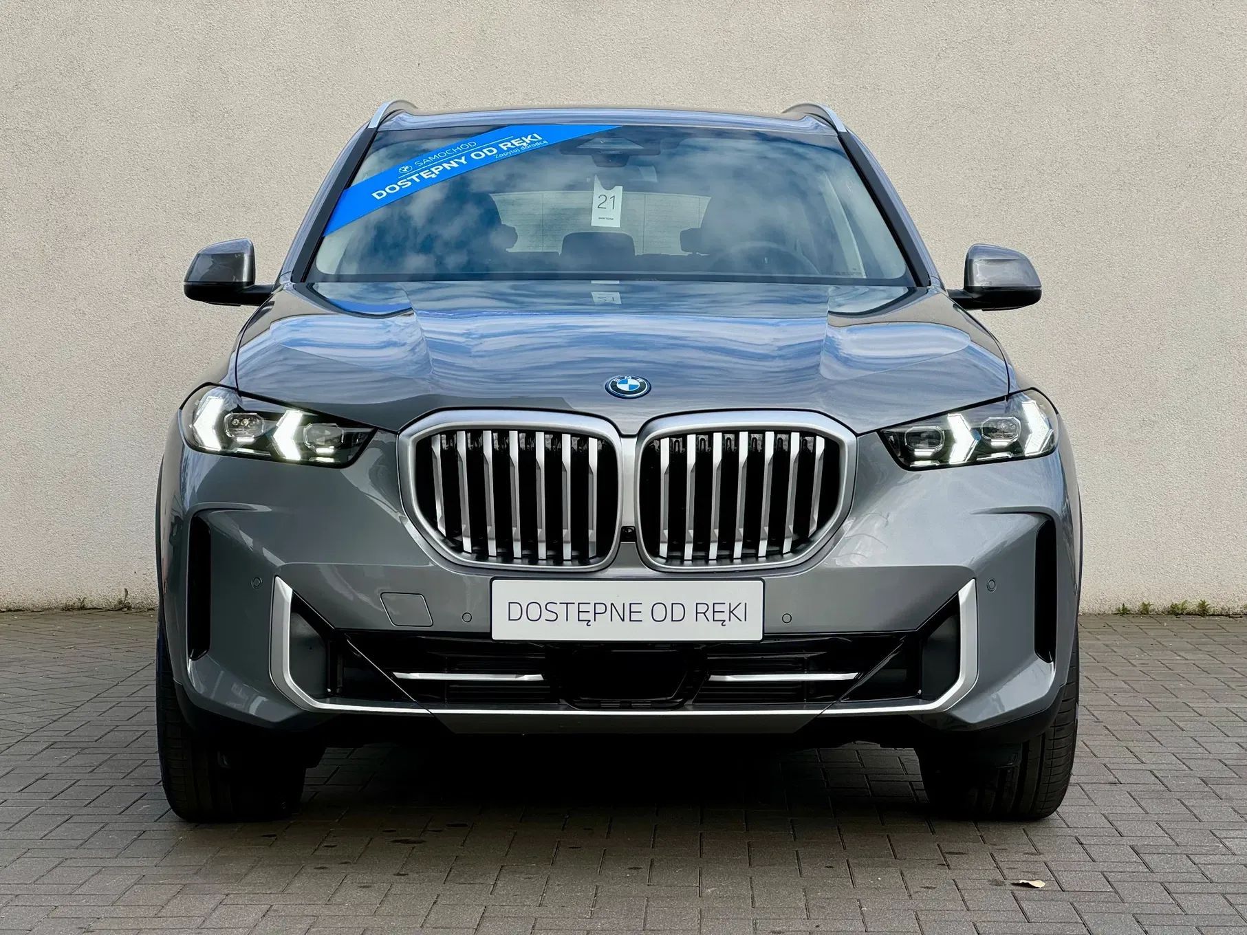 BMW X5 X5 xDrive50e * 4x4 * Hak * Runflat * LED * HiFi * LED * BMW TEAM