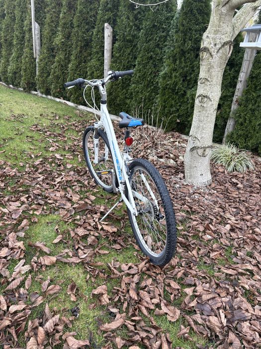 Rower Kross Modo 1.0 26 cali