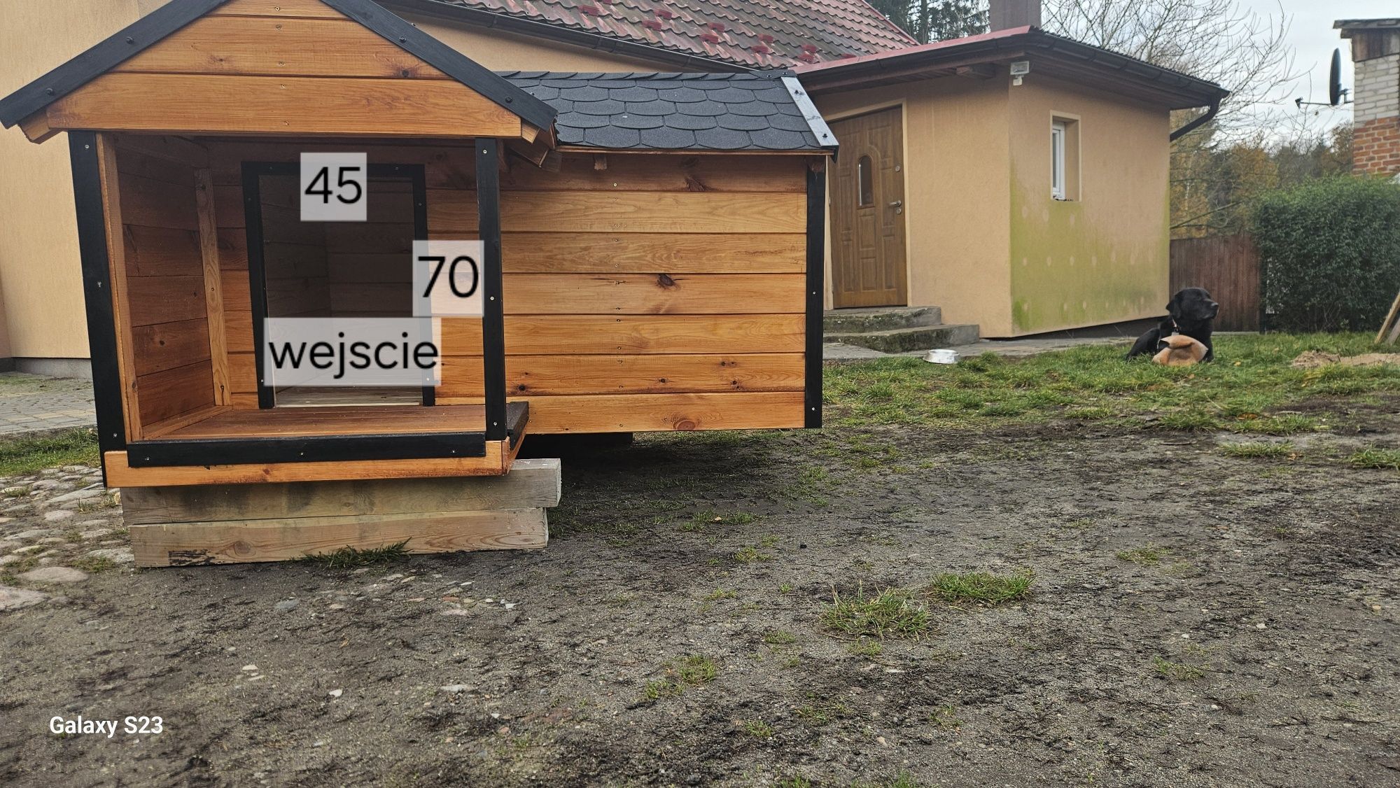 ,,Buda dla pieska,,