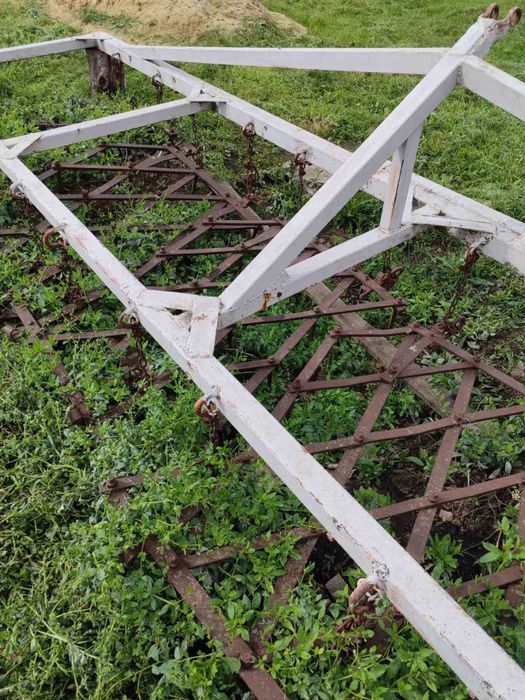 Борона зубова