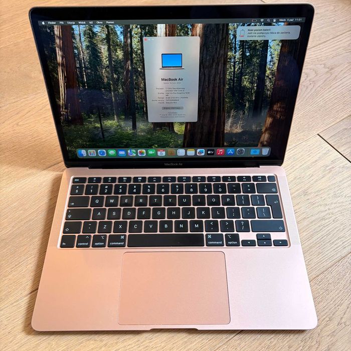 Macbook Air 2020 Złoty a Skromny (A2179)