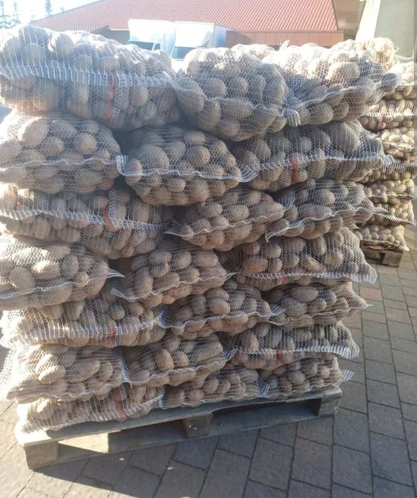 Ziemniaki Irga, Catania, Noya, Dowóz