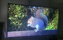 Tv LG 55" QNED816QA modelo de 2022