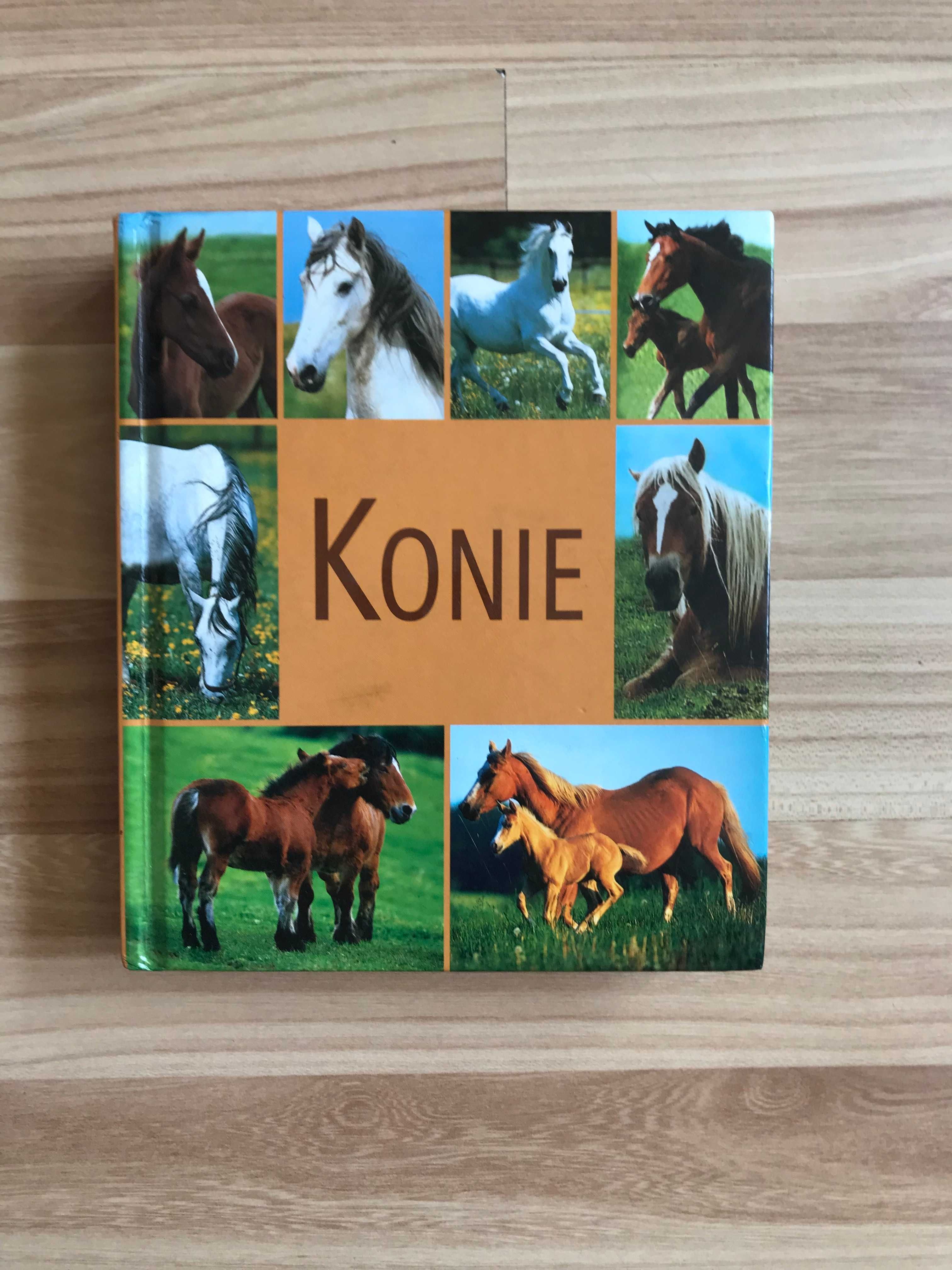 Konie książka o koniach Rasy koni choroby nauka jazdy konnej