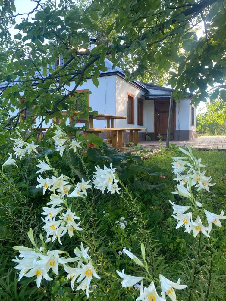 Оренда будинку «Кохай свій край». Чан. с. Прохорівка, Черкаська обл.
