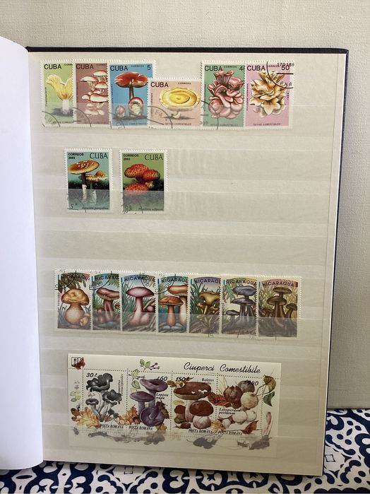 Album de selos formato A 4. Tematicos. (Cogumelos).