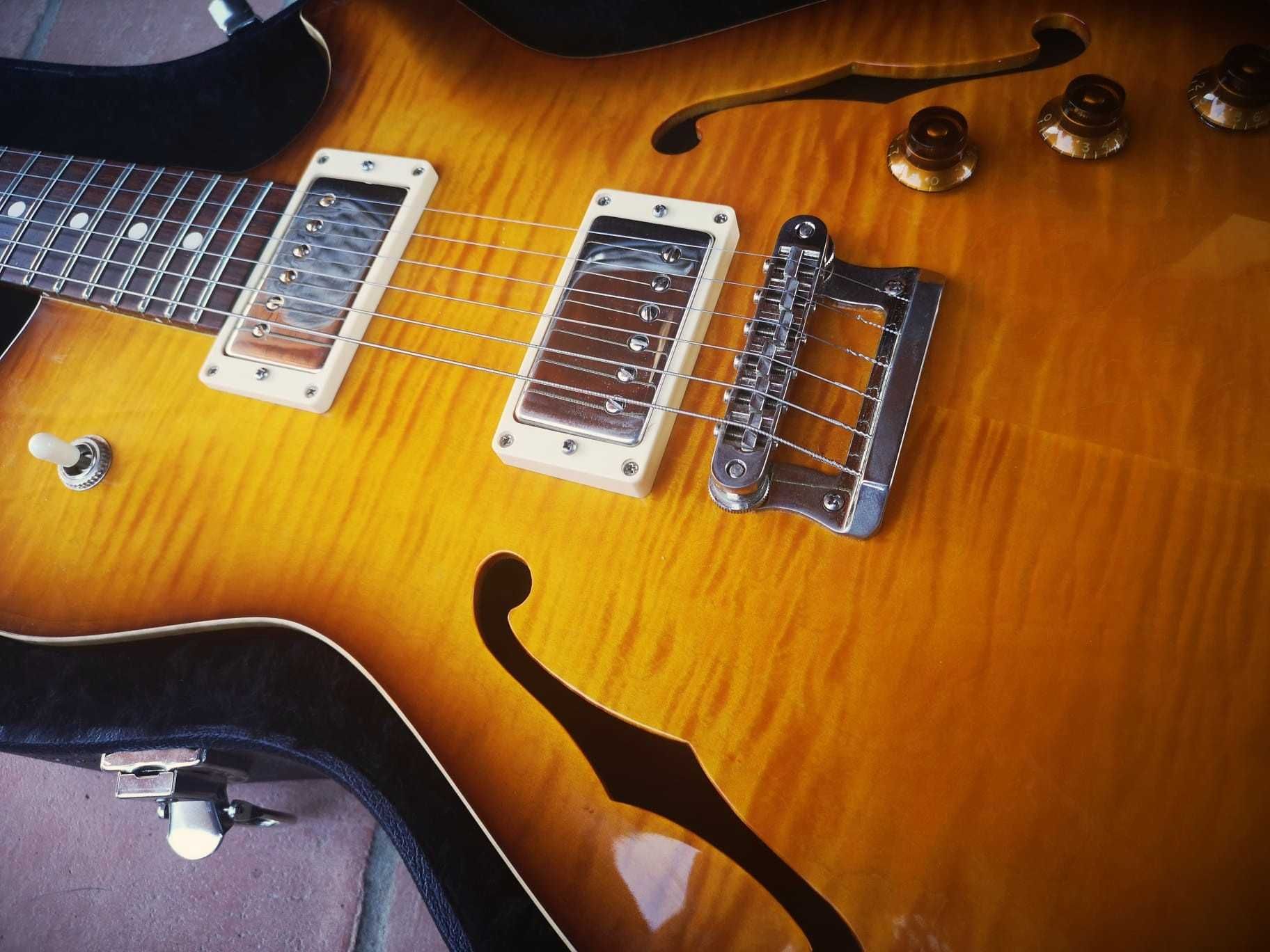 Knaggs Chena Hollowbody