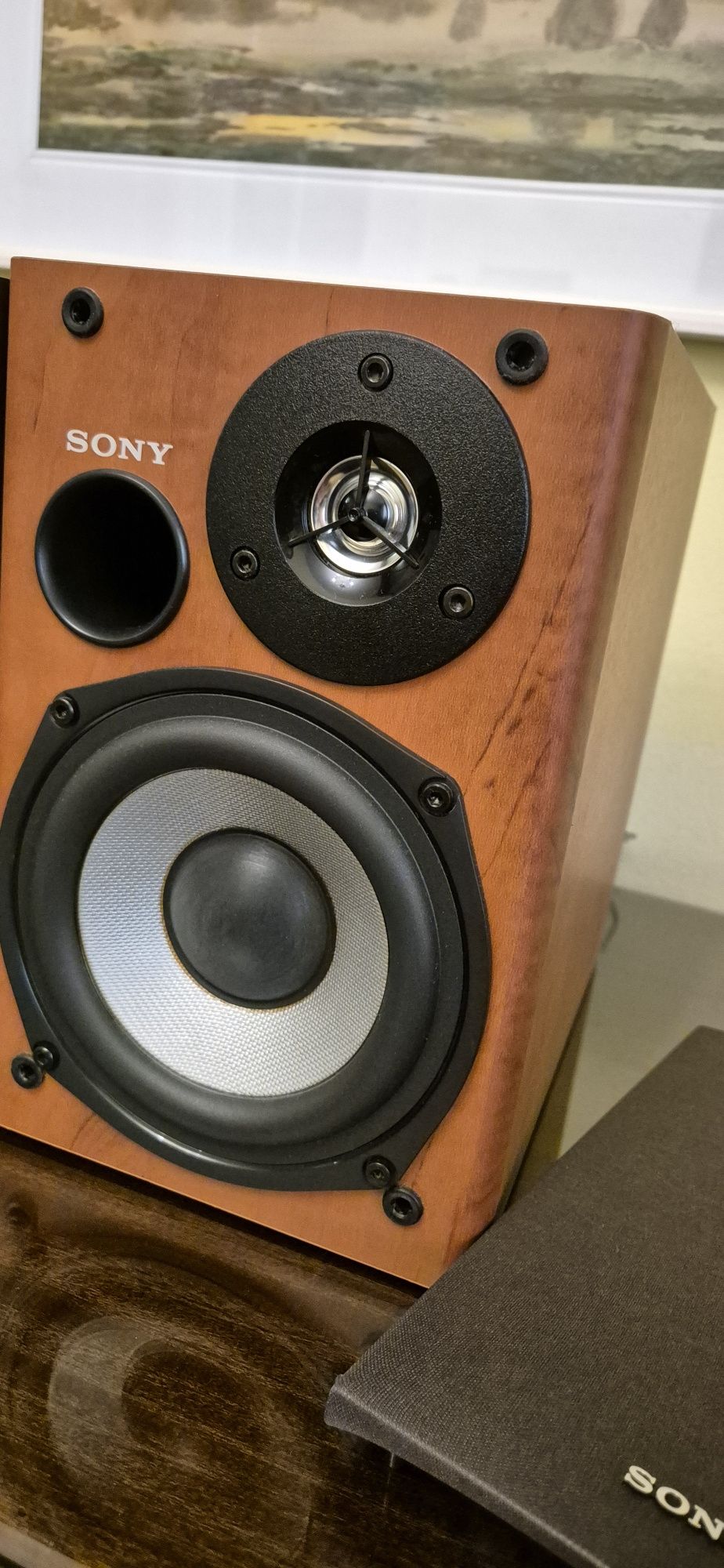 Hi Fi микро компонентная система Sony CMT-CPX11 Музыкальный центр