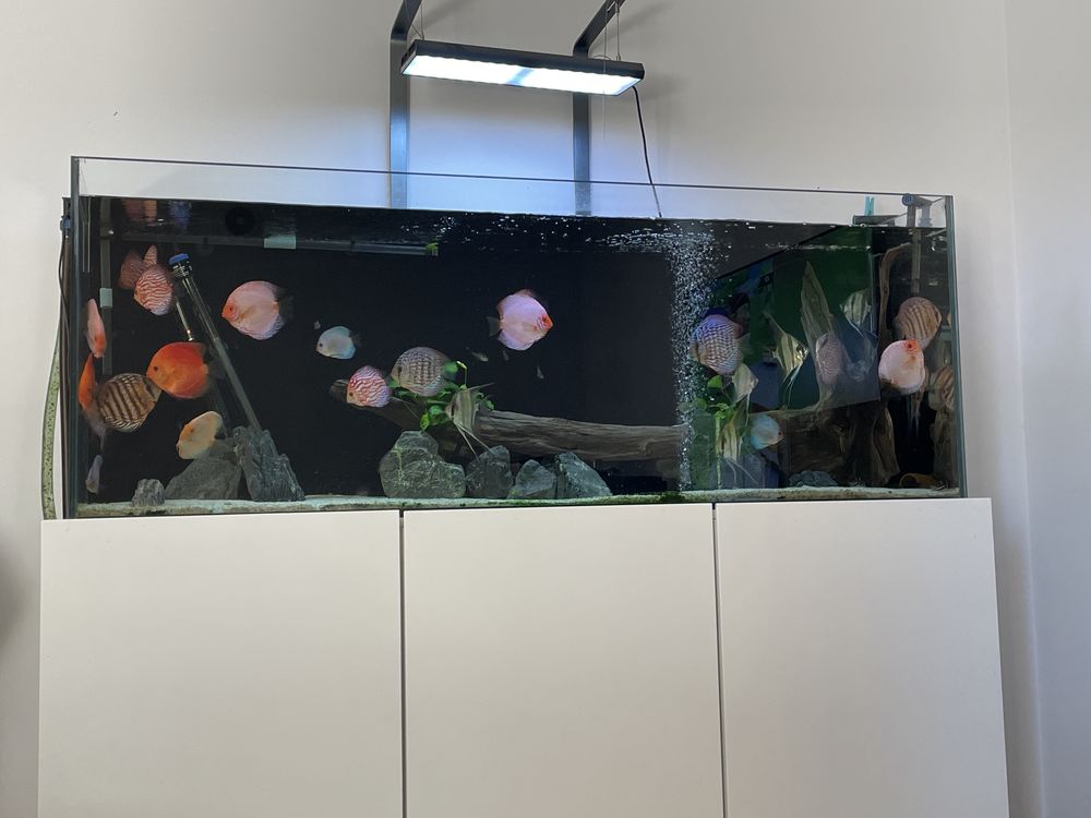 Calha Chihiros Vivid rgb aqurios