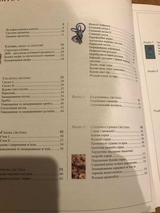 Людина. Dorling Kinderslei