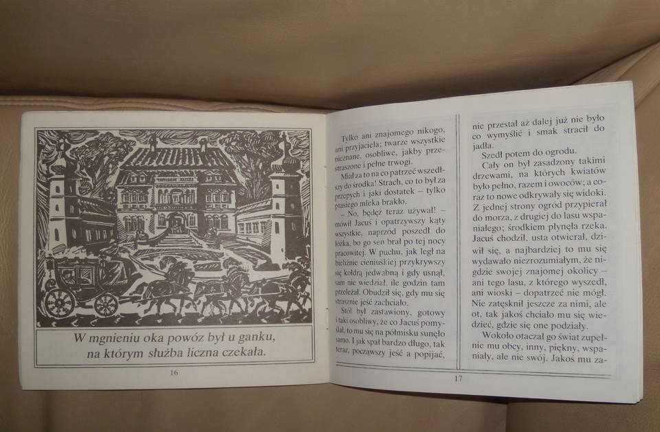 Kwiat paproci Józef Ignacy Kraszewski