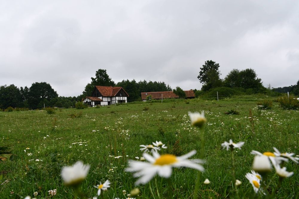 Wynajem domu na Mazurach 8- osób  od 1 lipca 2026