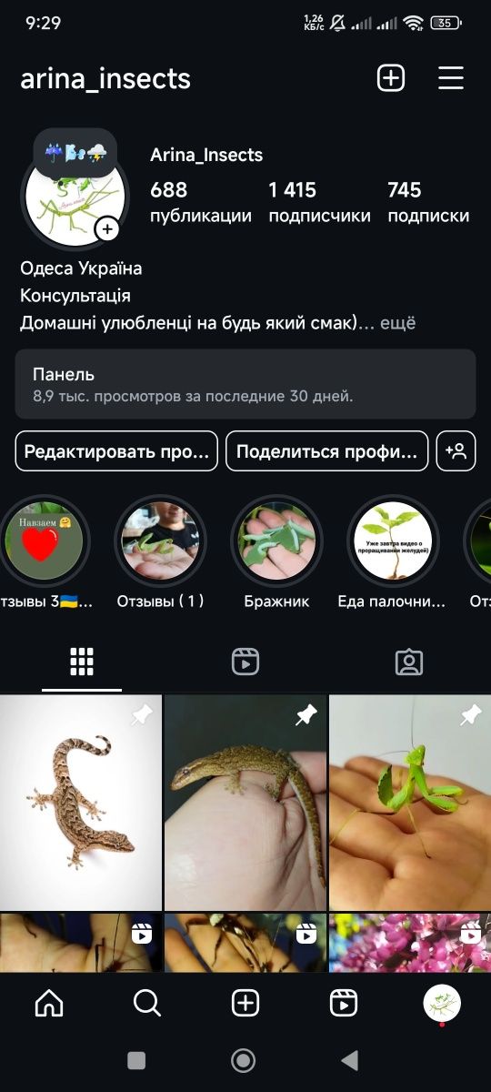 Набір з богомоліком ( счастя в дім принесе )